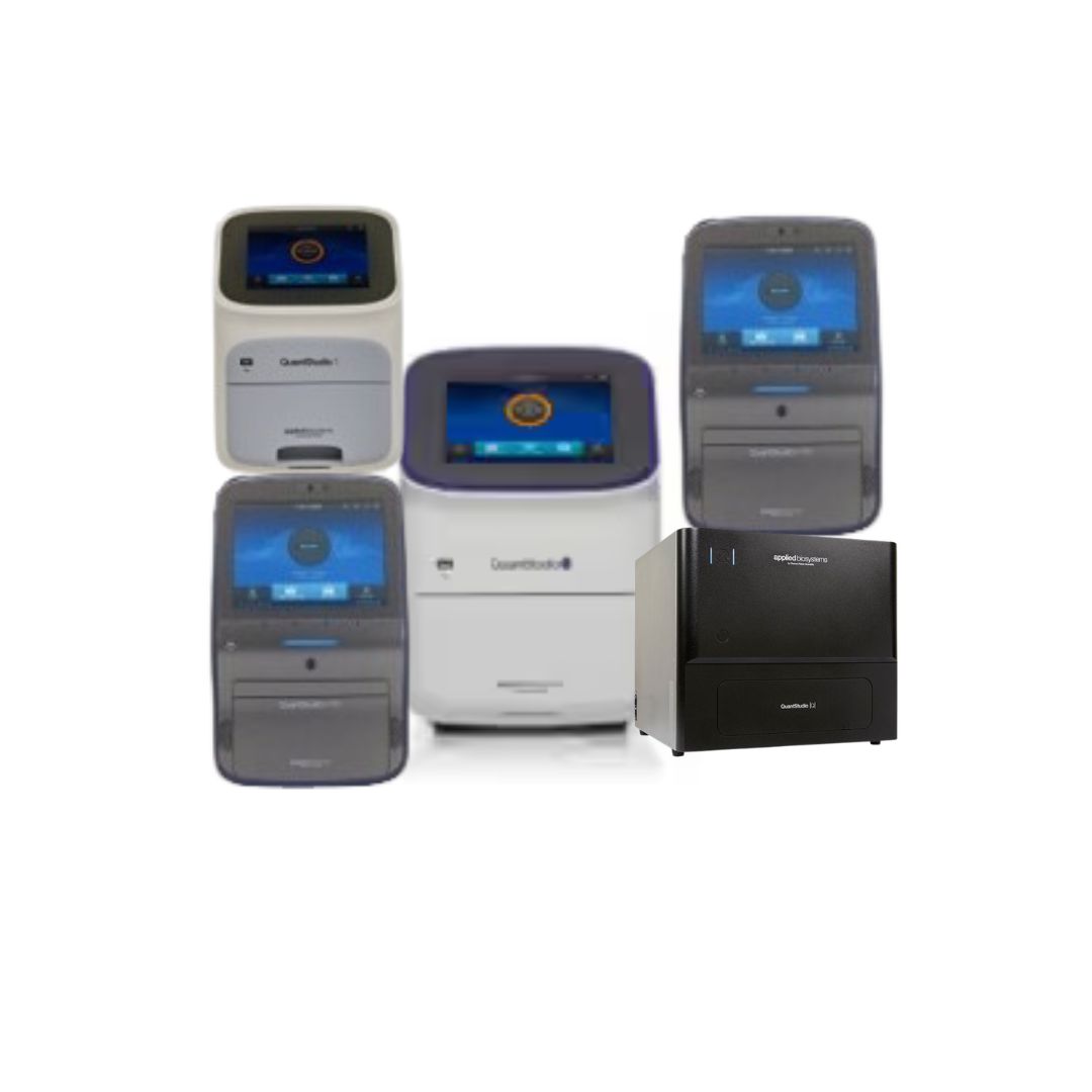Real time PCR